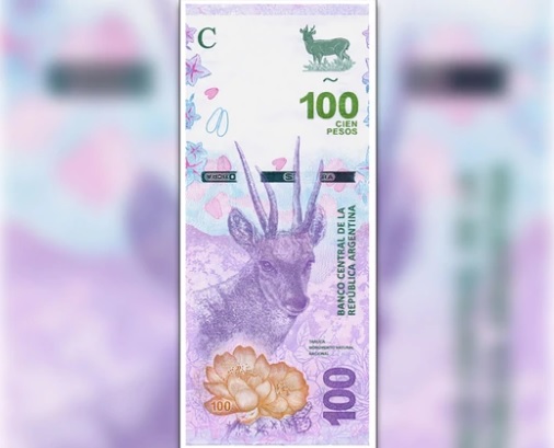 Taruca El Banco Central Presentó El Nuevo Billete De 100 Pesos Proyungas
