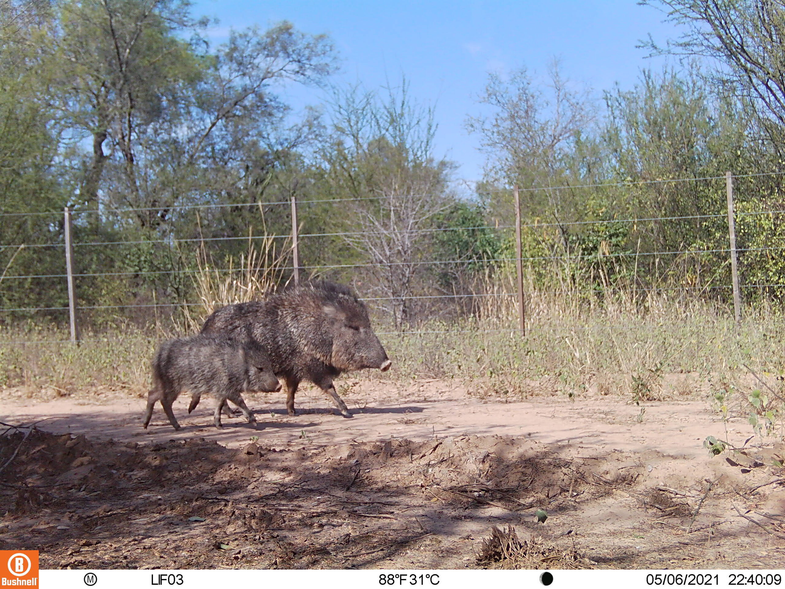 M2L226E178A0B174-E175A0B196-E0A0B0-E0A0B0-E0A0B0-C175,0