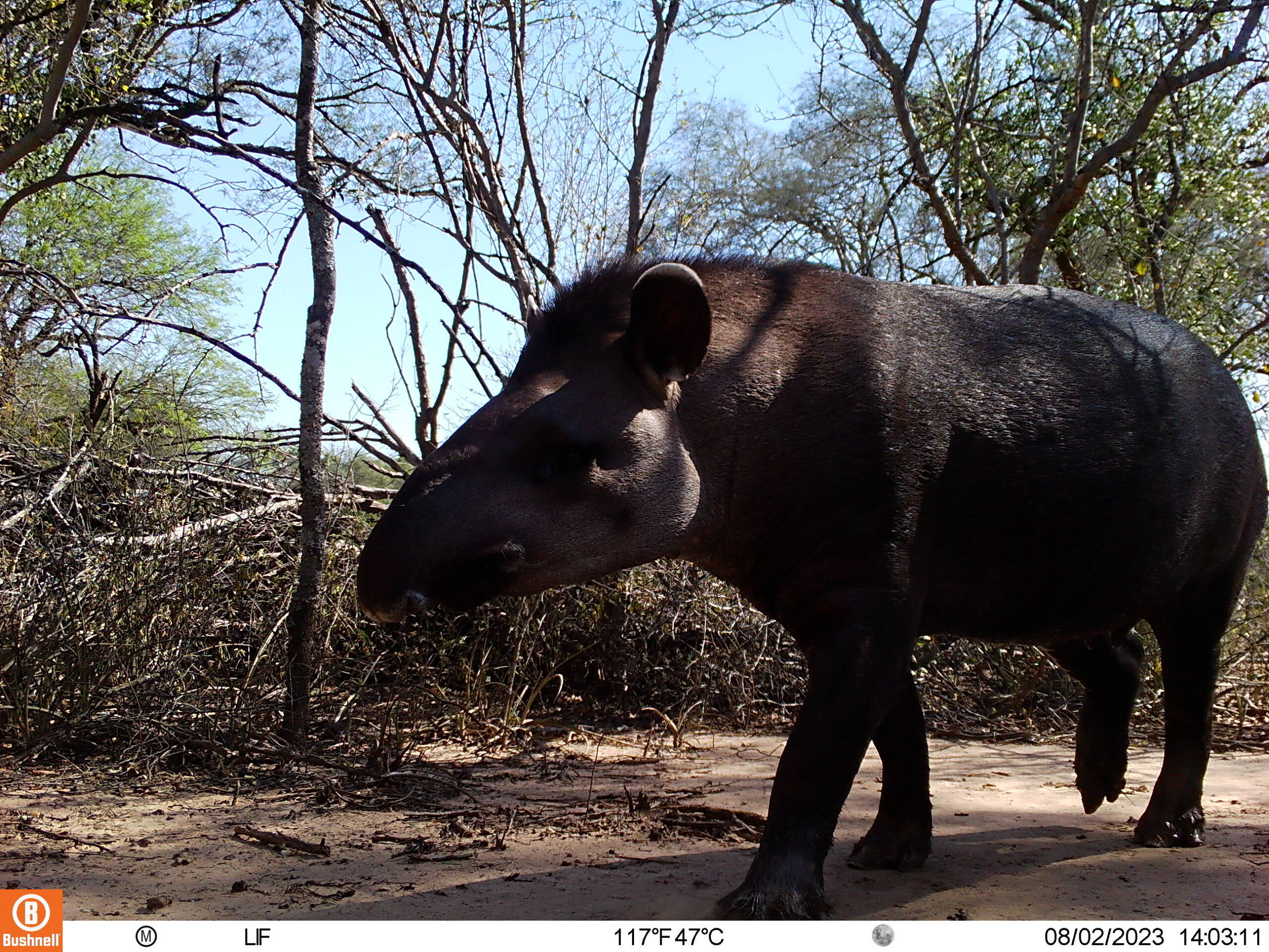 M2L219E165A0B173-E0A0B0-E0A0B0-E0A0B0-E0A0B0-C165,0