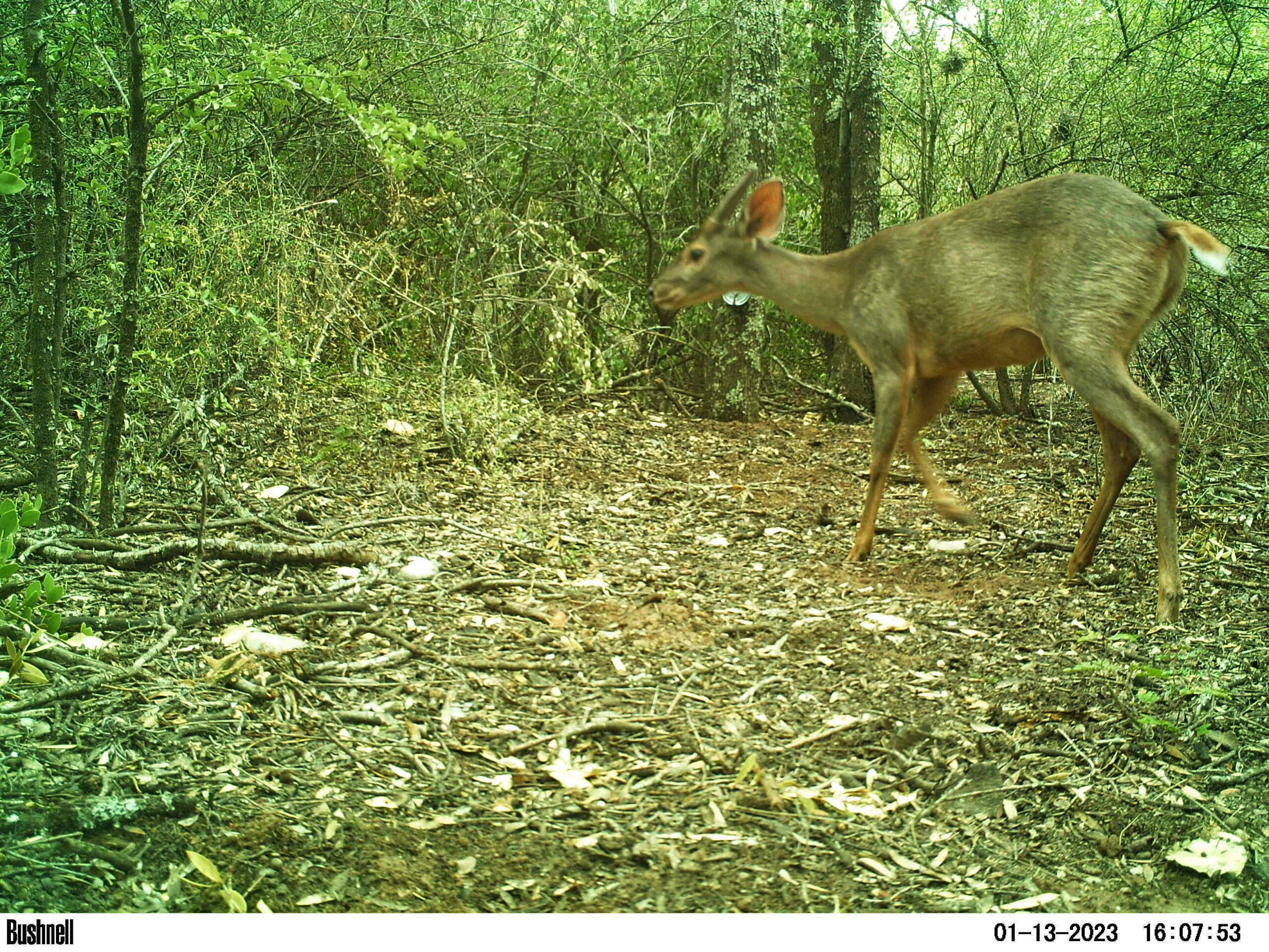 M2E42L121-121R396B309