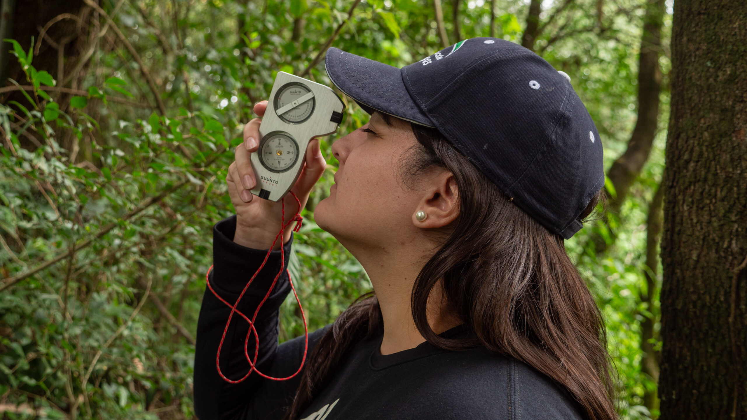 CARBONO ÁREA SILVESTRE 