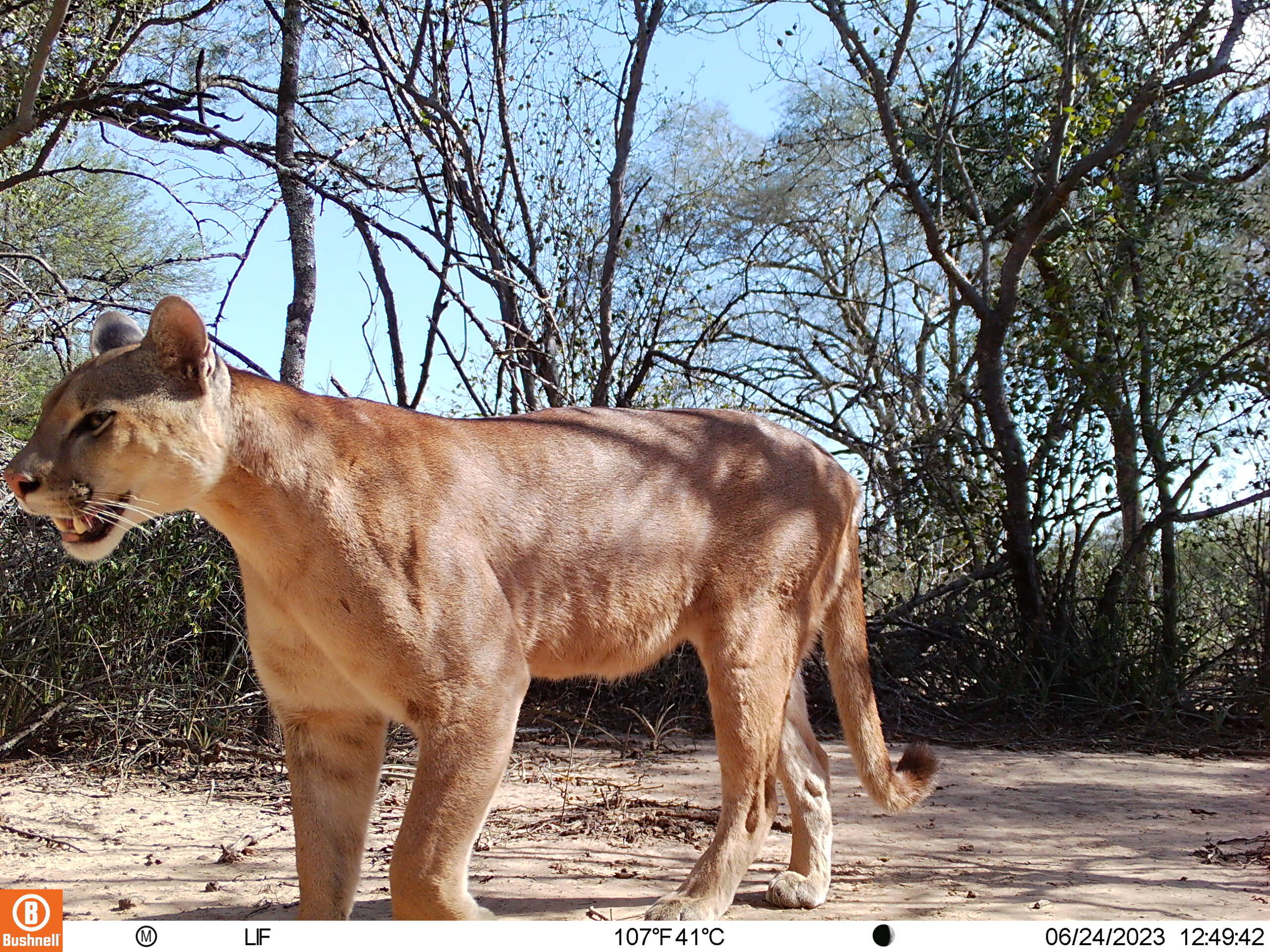 M2L223E181A0B109-E175A0B133-E170A0B154-E166A0B175-E163A0B0-C163,0