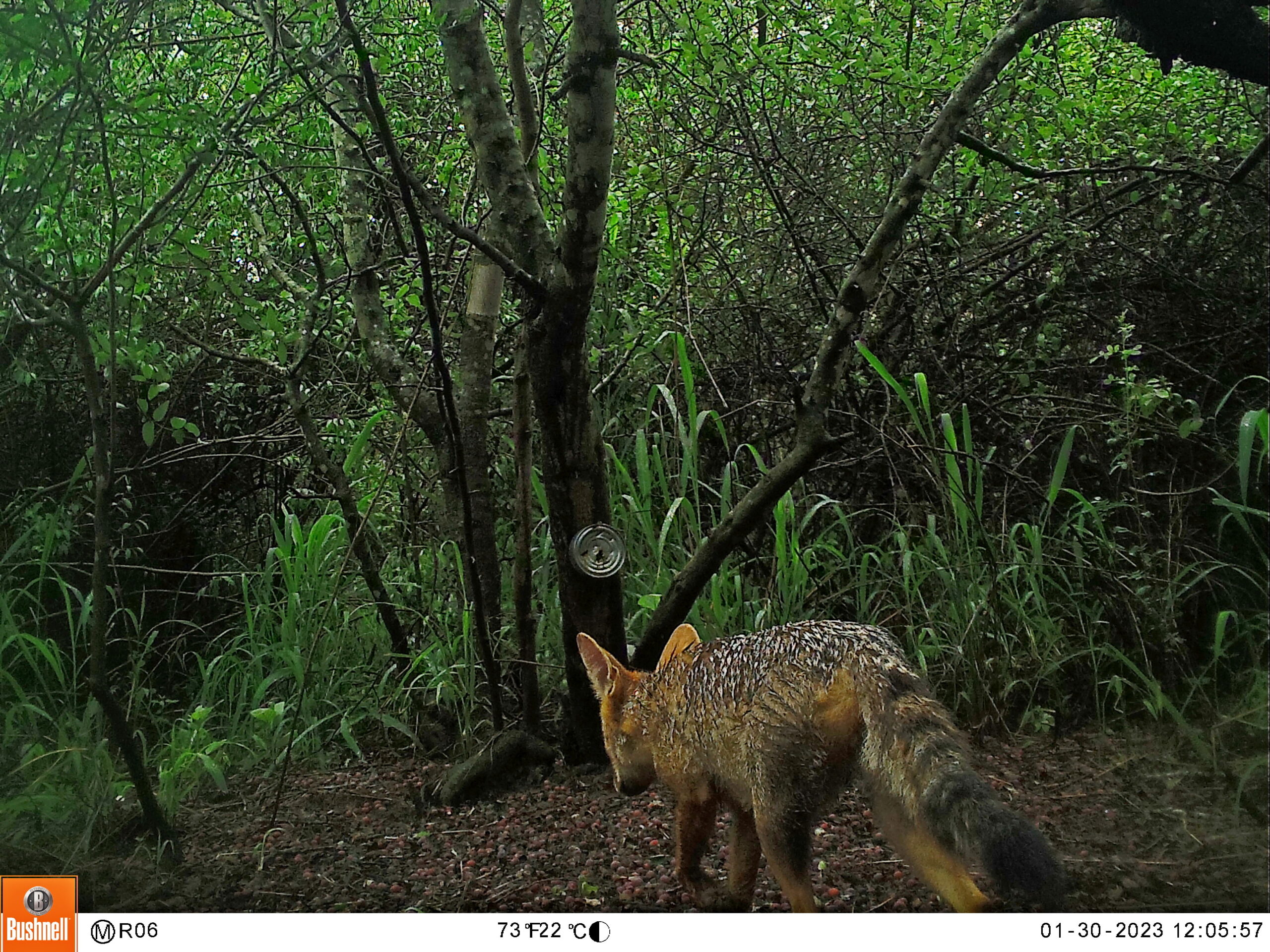 M2E99L190-190R392B372