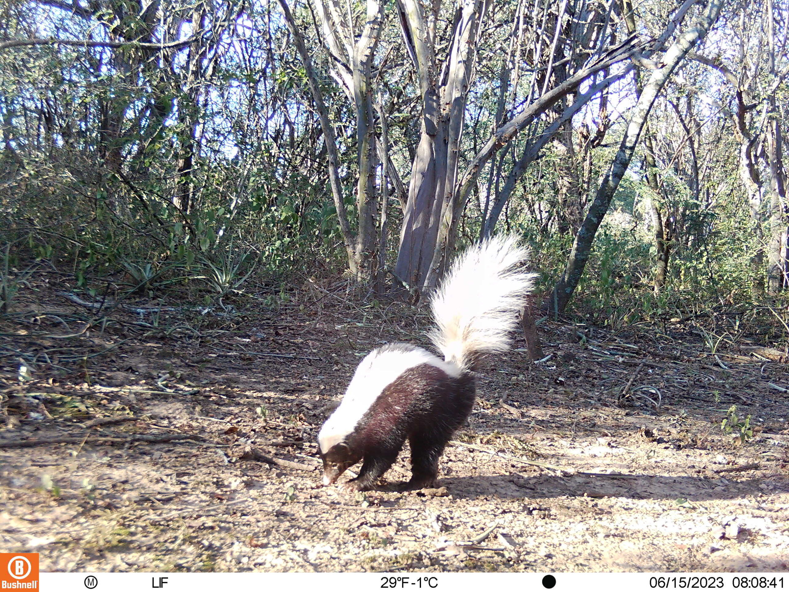 M2L157E117A0B220-E0A0B0-E0A0B0-E0A0B0-E0A0B0-C117,0