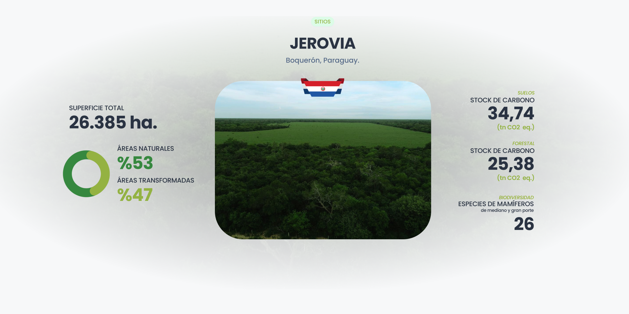 jerovia