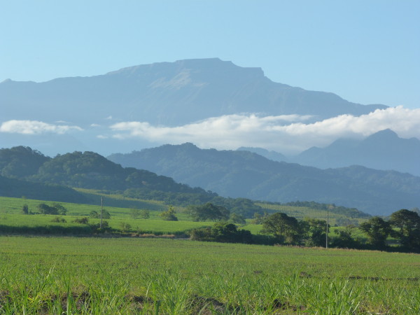 Vicente Amadeo - Ledesma P1000659